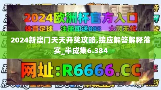 2024新澳门天天开奖攻略,接应解答解释落实_半成集6.384