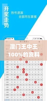 澳门王中王100%的资料三中三,澳门王中王三中三资料揭秘,数据引导设计策略_新人版15.915