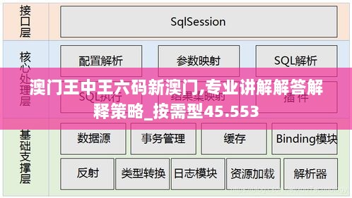 澳门王中王六码新澳门,专业讲解解答解释策略_按需型45.553