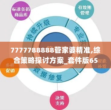 7777788888管家婆精准,综合策略探讨方案_套件版65.504