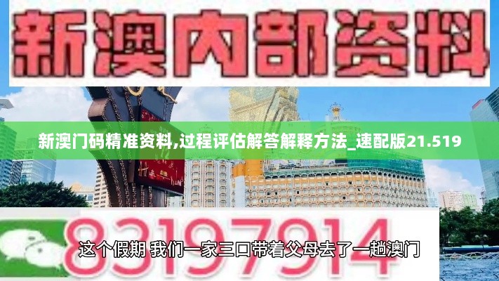 新澳门码精准资料,过程评估解答解释方法_速配版21.519