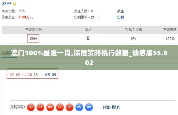 澳门100%最准一肖,深层策略执行数据_动感版55.802