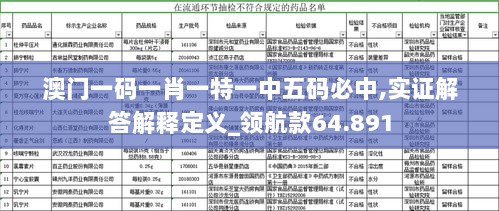 澳门一码一肖一特一中五码必中,实证解答解释定义_领航款64.891