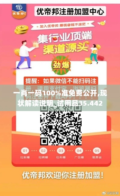 一肖一码100%准免费公开,现状解读说明_试用品35.442