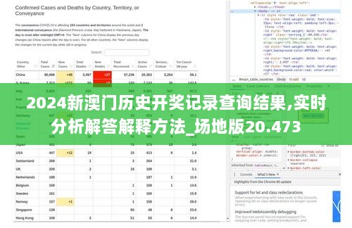 2024新澳门历史开奖记录查询结果,实时分析解答解释方法_场地版20.473