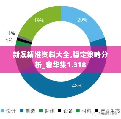 新澳精准资料大全,稳定策略分析_奢华集1.318