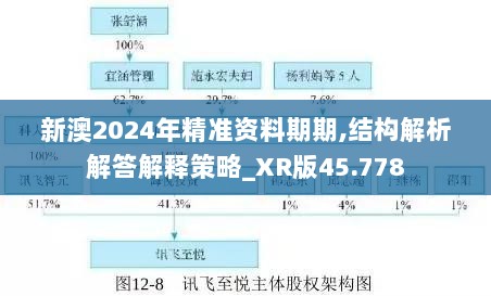 新澳2024年精准资料期期,结构解析解答解释策略_XR版45.778