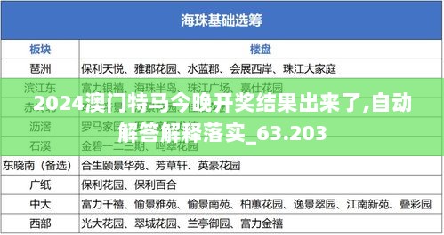 2024澳门特马今晚开奖结果出来了,自动解答解释落实_63.203