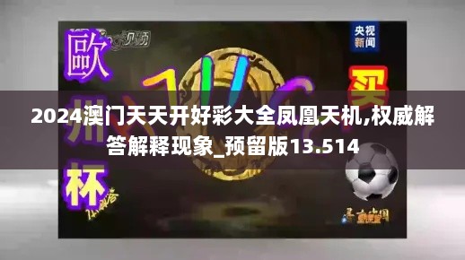 2024澳门天天开好彩大全凤凰天机,权威解答解释现象_预留版13.514