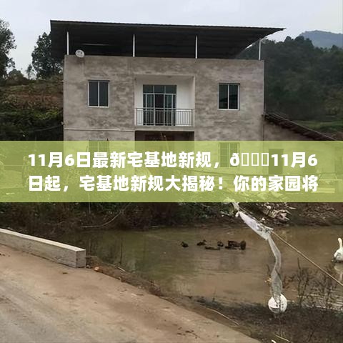 11月6日起宅基地新规大揭秘，你的家园将如何蜕变？