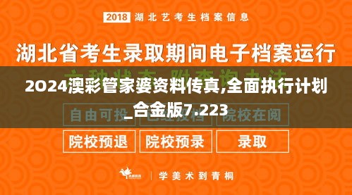 2O24澳彩管家婆资料传真,全面执行计划_合金版7.223