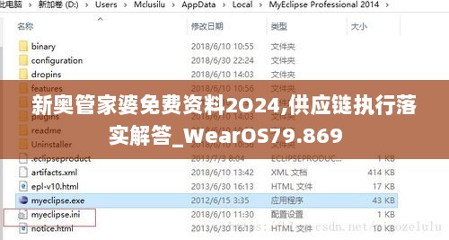 新奥管家婆免费资料2O24,供应链执行落实解答_WearOS79.869