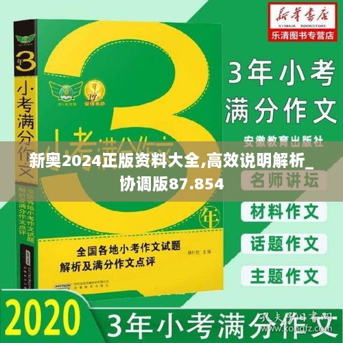 新奥2024正版资料大全,高效说明解析_协调版87.854