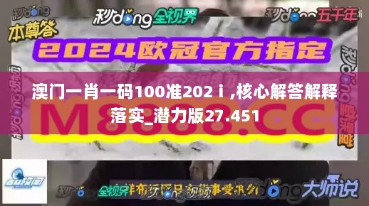 澳门一肖一码100准202ⅰ,核心解答解释落实_潜力版27.451