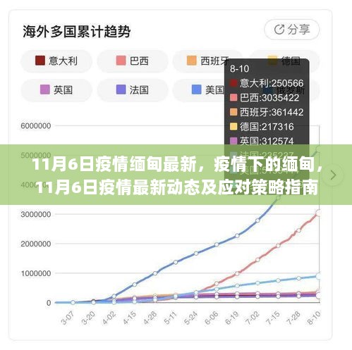 11月6日疫情下的缅甸最新动态及应对策略指南