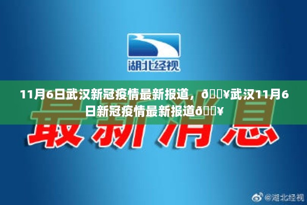 武汉11月6日新冠疫情最新报道简析