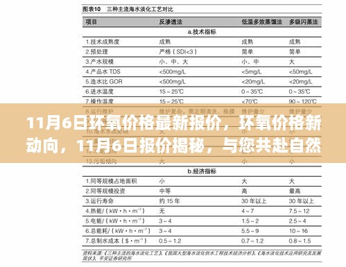 11月6日环氧价格揭秘，探寻市场新动向，共赴自然之旅，寻找内心的平静