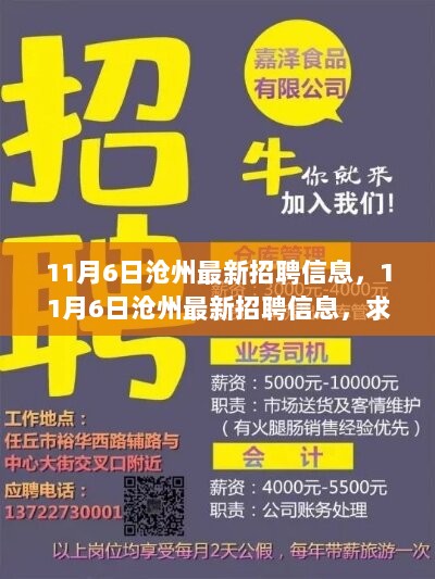 11月6日沧州最新招聘信息，求职者的新机遇