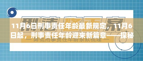 11月6日起，刑事责任年龄新篇章，城市隐秘小店岁月静好中的法律变革探索