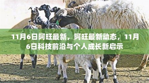 11月6日阿旺最新动态，科技前沿与个人成长的新启示