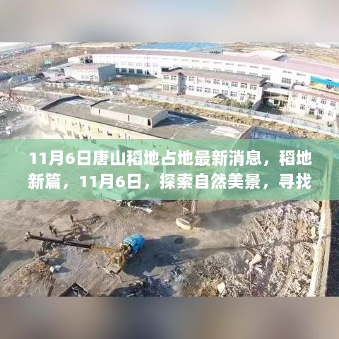 唐山稻地占地新篇，11月6日探索自然美景，寻找内心的平静