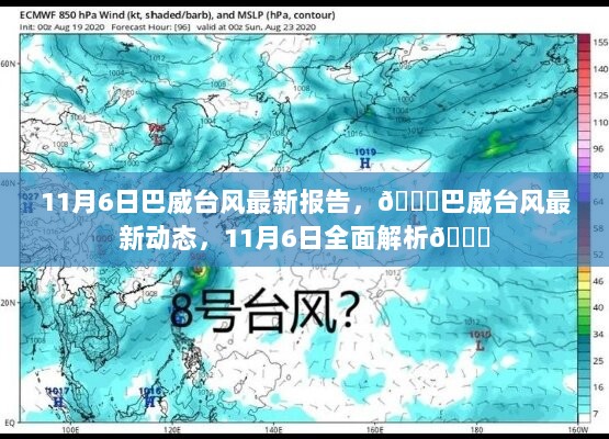 巴威台风最新报告，11月6日全面解析与最新动态