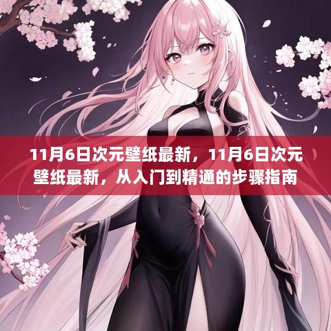 11月6日次元壁纸精选，从入门到精通的步骤指南