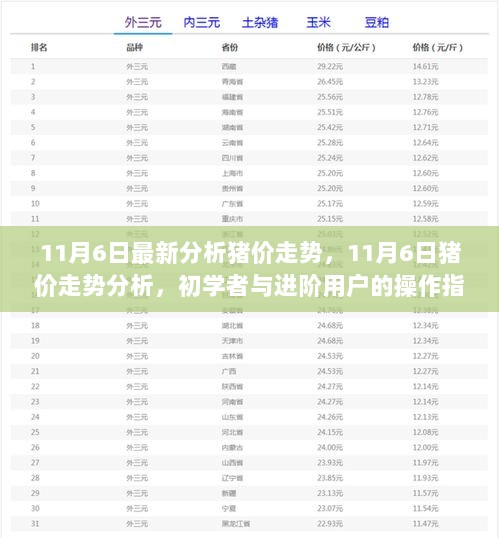 11月6日猪价走势深度解析，初学者与进阶用户的操作指南