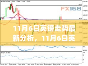 2024年11月6日 第8页