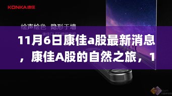 2024年11月6日 第7页