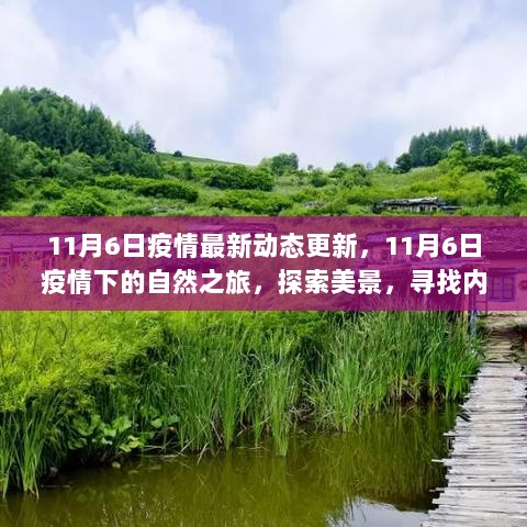 11月6日疫情最新动态与自然之旅，寻找平静与探索美景的旅程