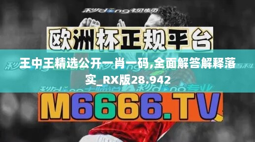 王中王精选公开一肖一码,全面解答解释落实_RX版28.942