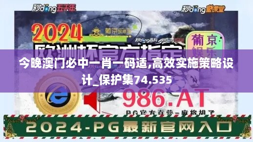 今晚澳门必中一肖一码适,高效实施策略设计_保护集74.535