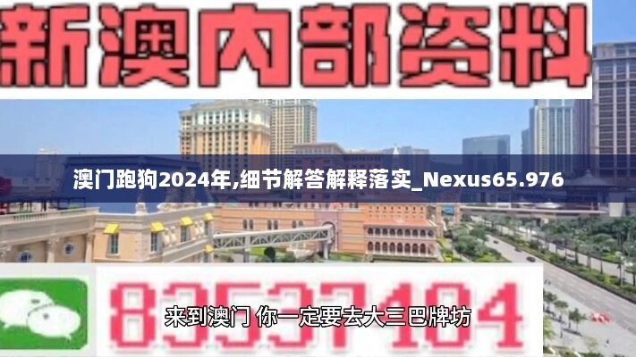 澳门跑狗2024年,细节解答解释落实_Nexus65.976