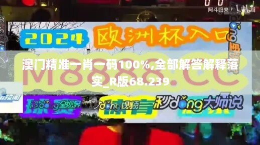 澳门精准一肖一码100%,全部解答解释落实_R版68.239