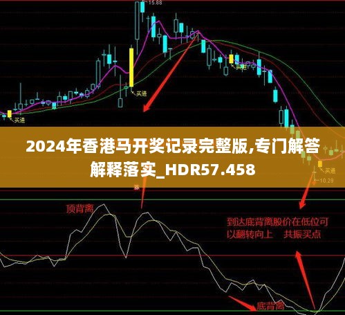 2024年11月7日 第111页