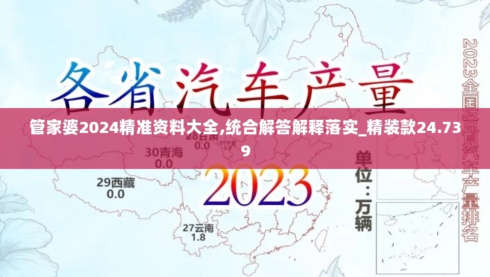 管家婆2024精准资料大全,统合解答解释落实_精装款24.739