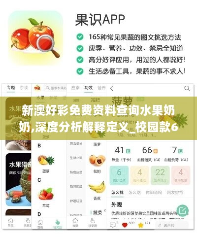 新澳好彩免费资料查询水果奶奶,深度分析解释定义_校园款64.759