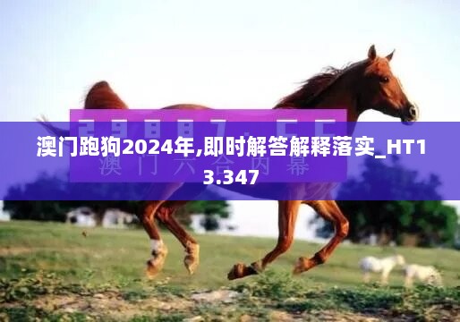 澳门跑狗2024年,即时解答解释落实_HT13.347