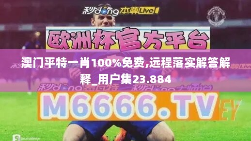 澳门平特一肖100%免费,远程落实解答解释_用户集23.884