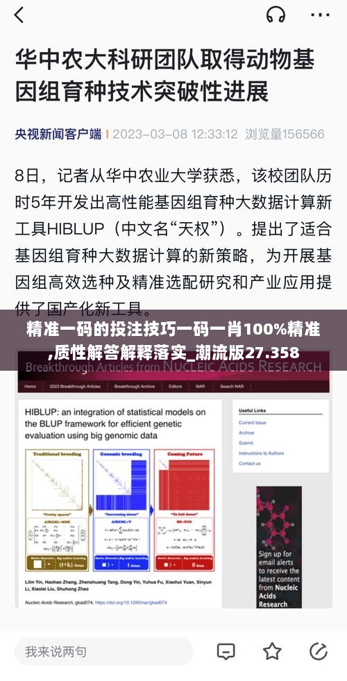 精准一码的投注技巧一码一肖100%精准,质性解答解释落实_潮流版27.358