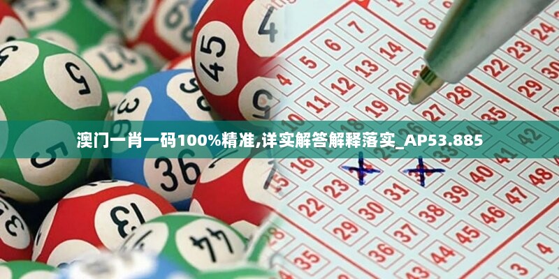 澳门一肖一码100%精准,详实解答解释落实_AP53.885