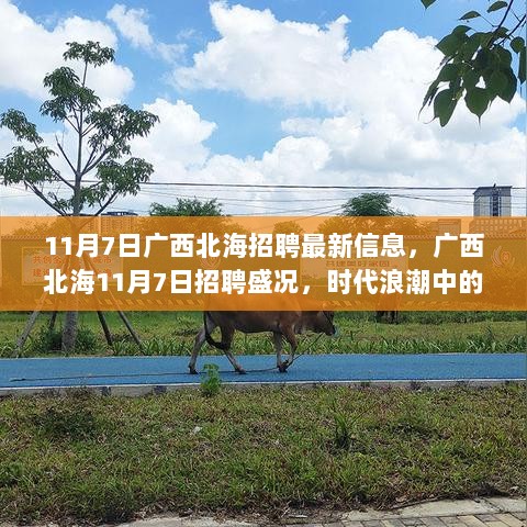 11月7日广西北海招聘盛况，新机遇在时代浪潮中闪耀的招聘信息