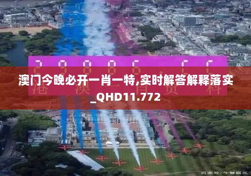 澳门今晚必开一肖一特,实时解答解释落实_QHD11.772