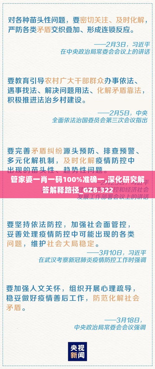 管家婆一肖一码100%准确一,深化研究解答解释路径_GZ8.322