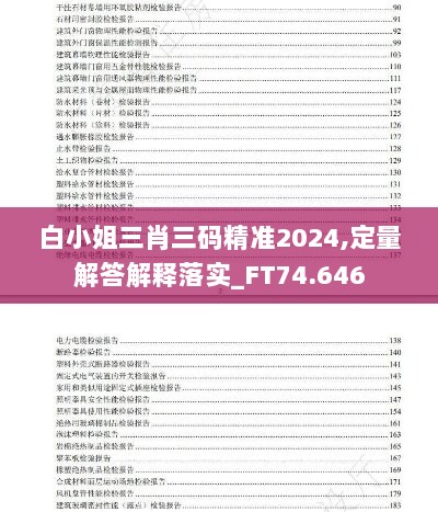 白小姐三肖三码精准2024,定量解答解释落实_FT74.646