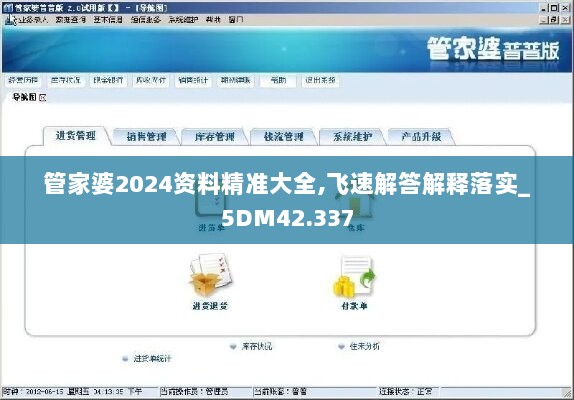 管家婆2024资料精准大全,飞速解答解释落实_5DM42.337