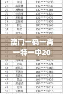 澳门一码一肖一特一中2024年,及时解答解释落实_专属版59.108