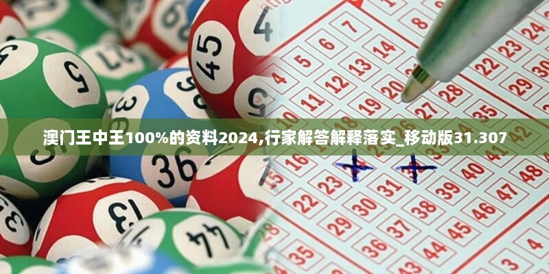 澳门王中王100%的资料2024,行家解答解释落实_移动版31.307