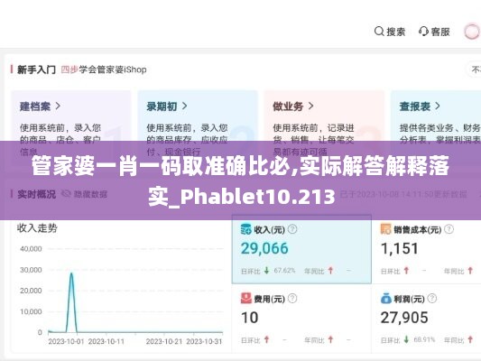 管家婆一肖一码取准确比必,实际解答解释落实_Phablet10.213